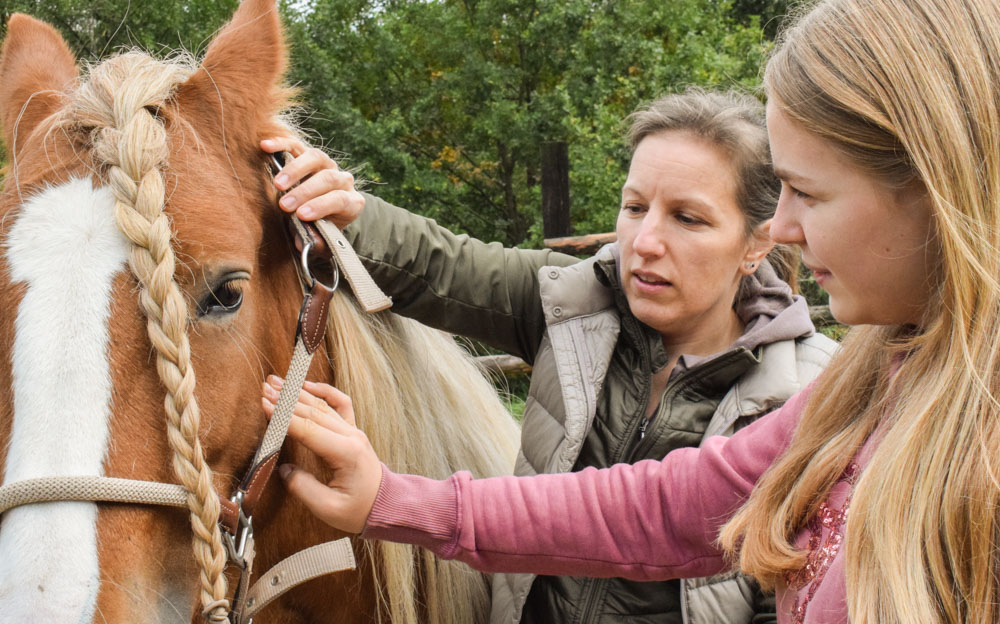 Pferdetherapie Nina Fröhlig