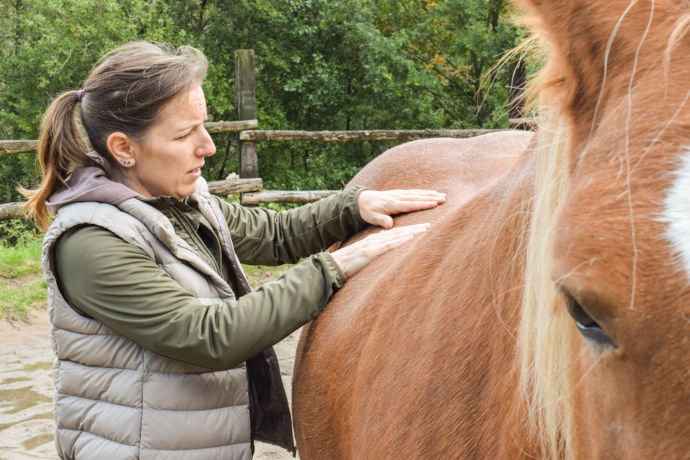 Pferdegesundheit Nina Fröhlig