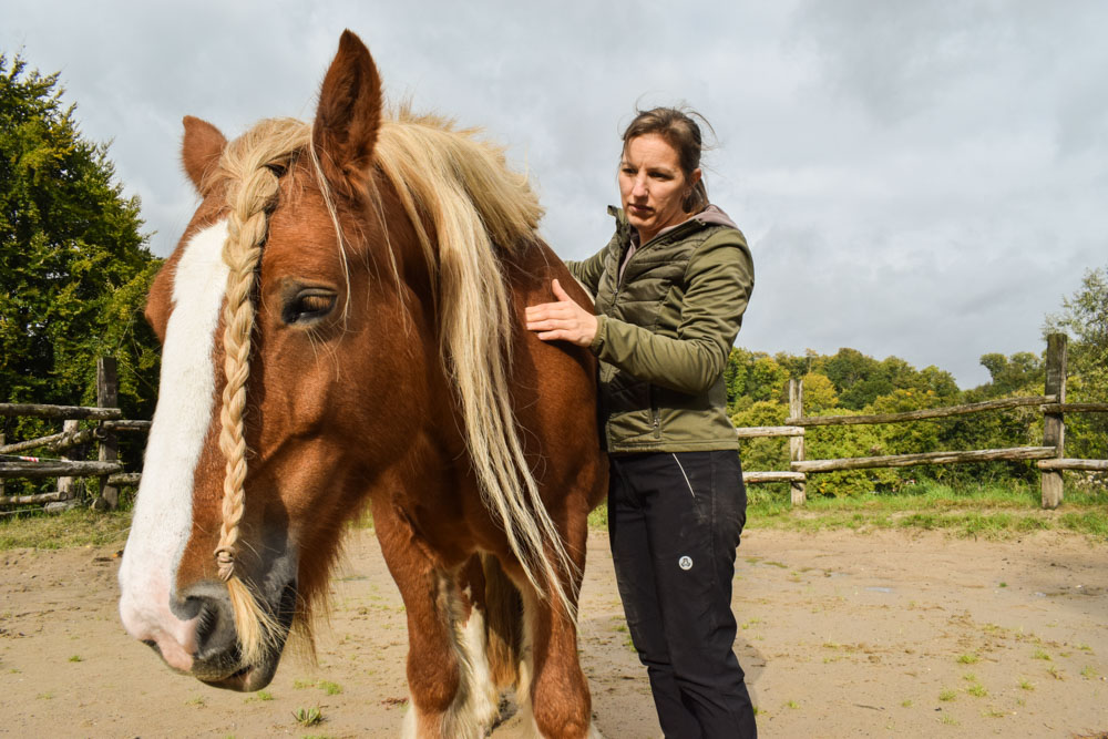 Pferdetraining Nina Fröhlig