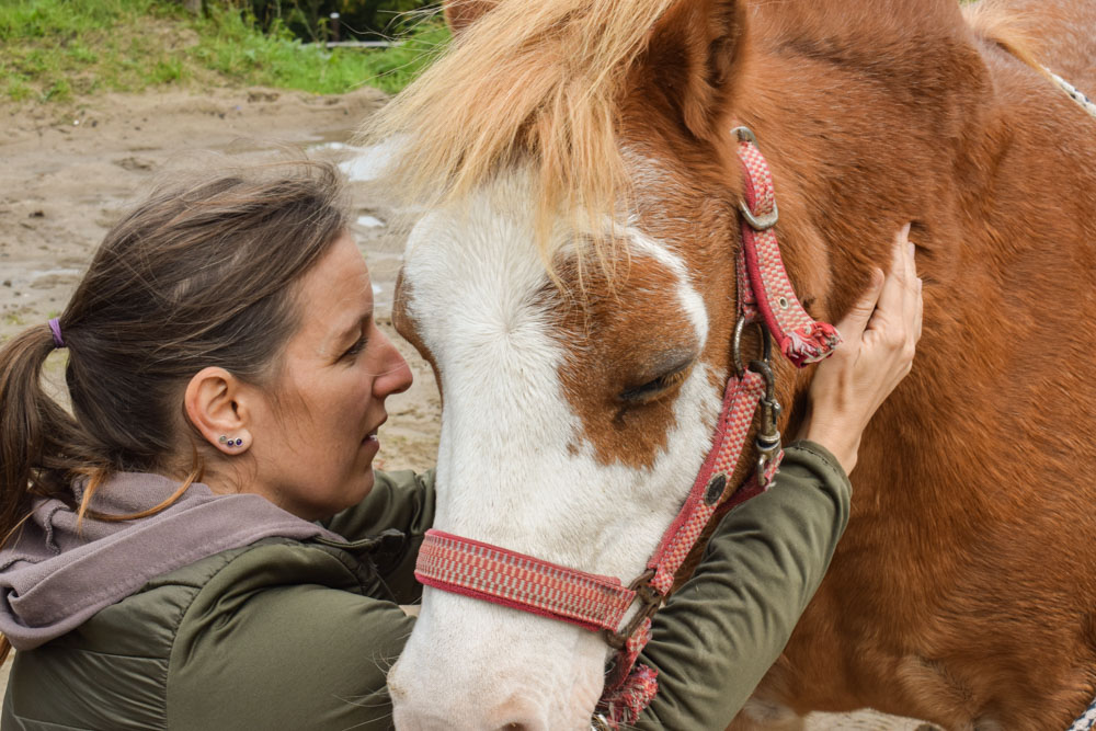 Pferdeosteopathie Velbert