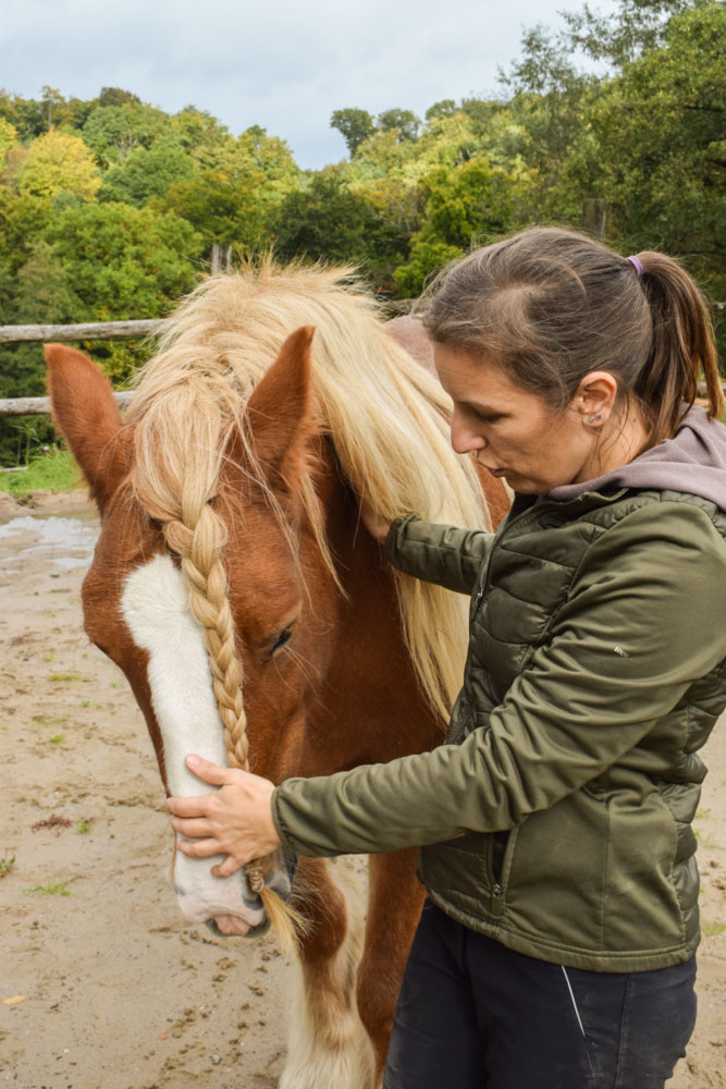 Pferdeosteopathie Preise