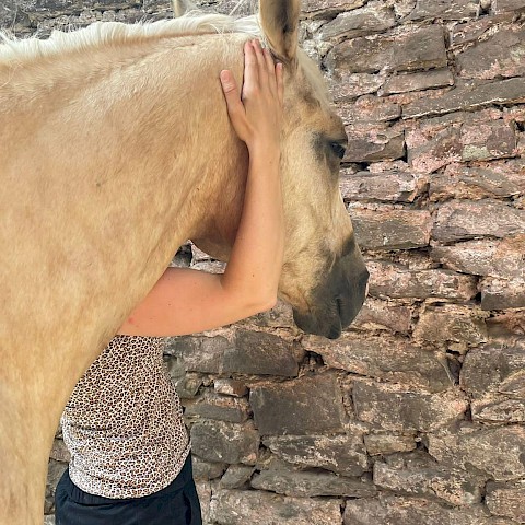 Pferdeosteopathie Velbert