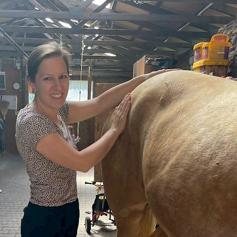 Pferdeosteopathie Velbert