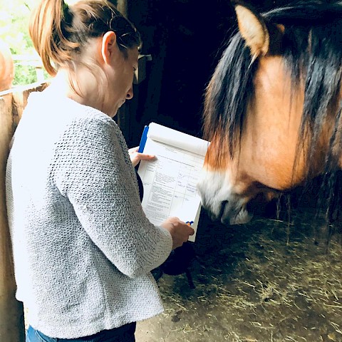 Pferdeosteopathie Velbert