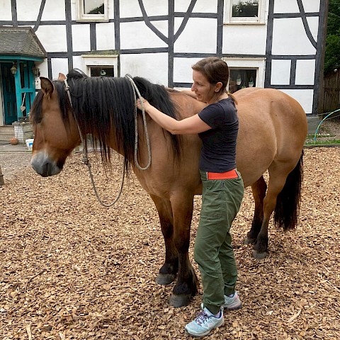 Pferdeosteopathie Velbert
