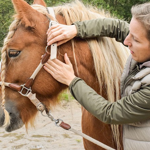 Pferdeosteopathie Velbert