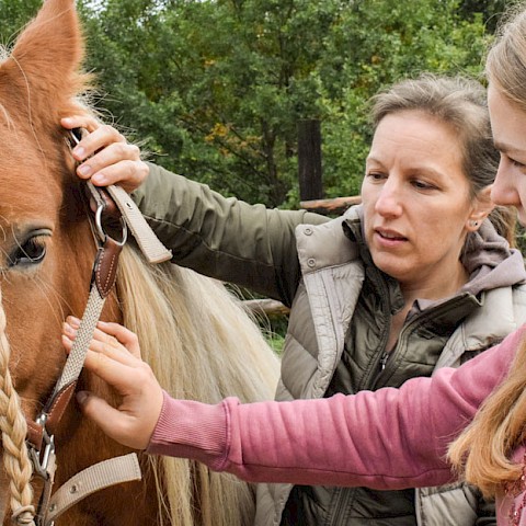 Pferdeosteopathie Velbert