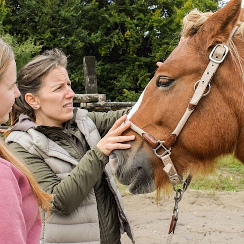 Pferdeosteopathie Velbert