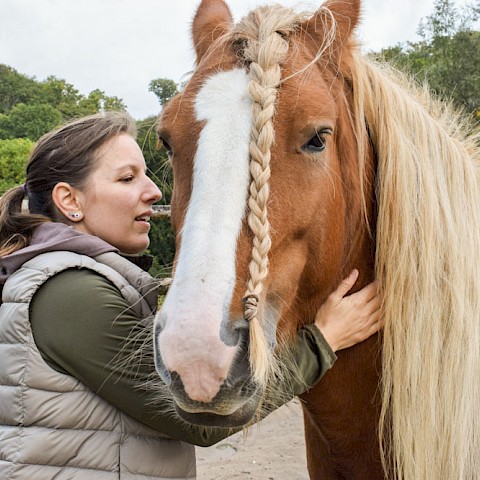 Pferdeosteopathie Velbert