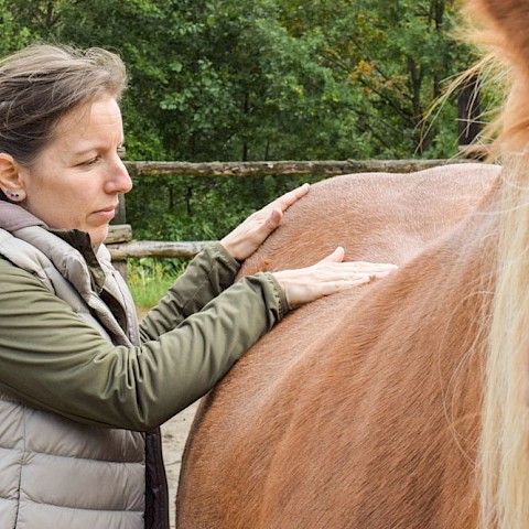 Pferdeosteopathie Velbert