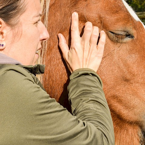 Pferdeosteopathie Velbert
