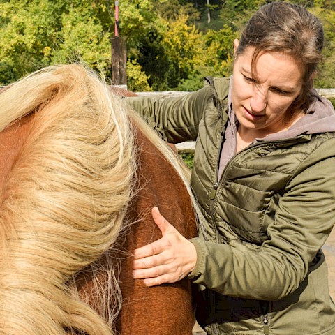 Pferdeosteopathie Velbert