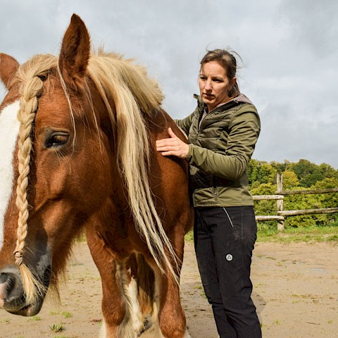 Pferdeosteopathie Velbert