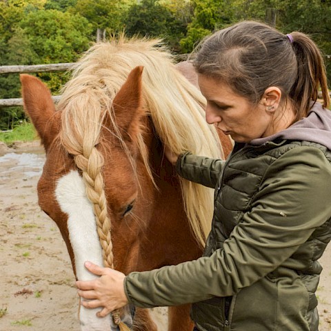 Pferdeosteopathie Velbert