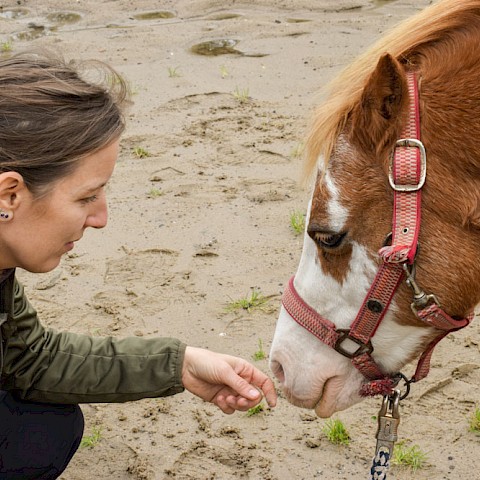 Pferdeosteopathie Velbert