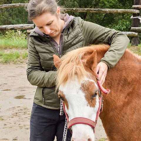 Pferdeosteopathie Velbert