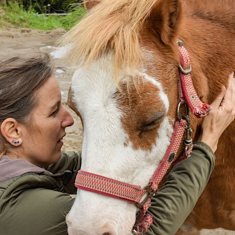 Pferdeosteopathie Velbert