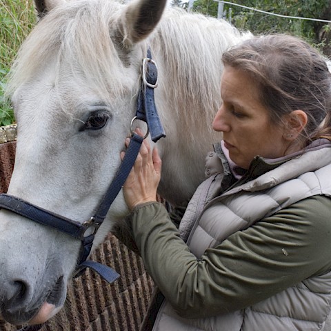 Pferdeosteopathie Velbert