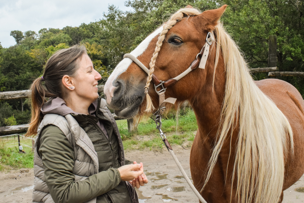 Pferdeosteopathie Essen