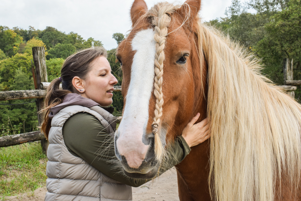 Pferdeosteopathie Wuppertal
