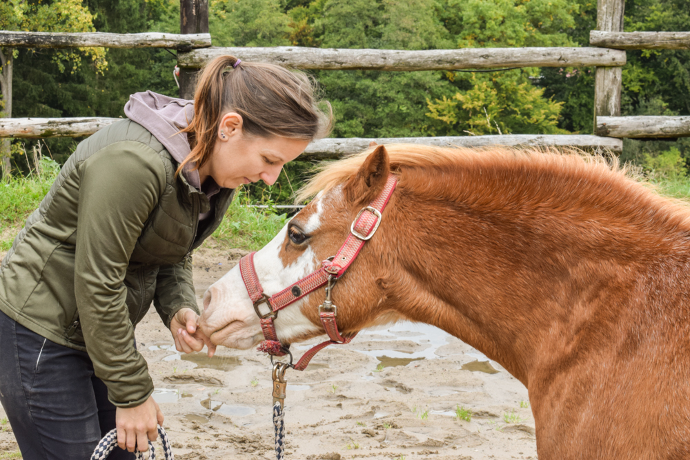 Pferdeosteopathie Velbert
