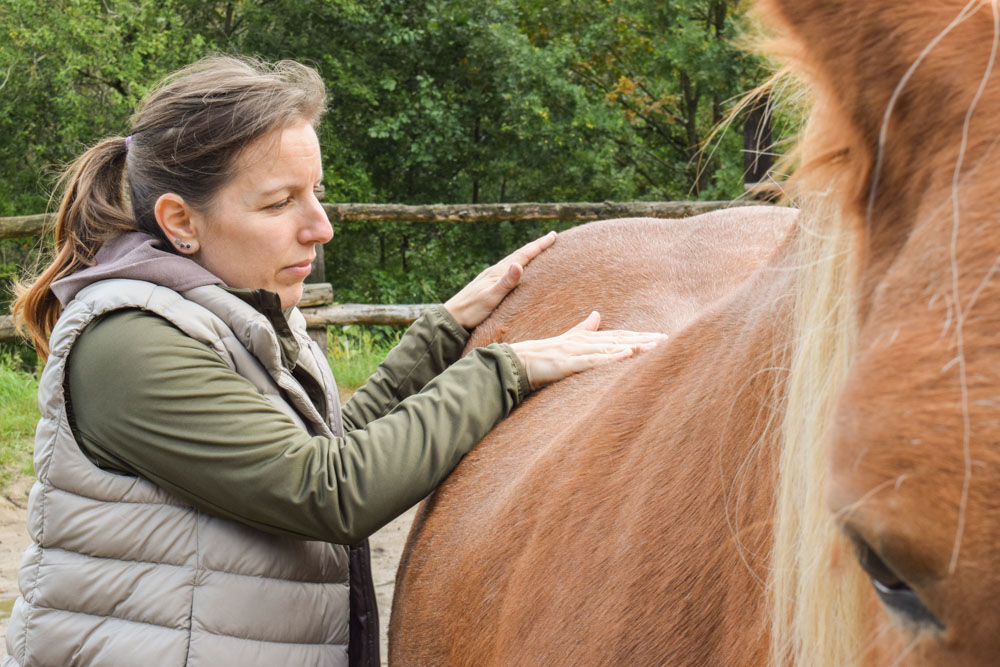 physiotherapeutisches Training Velbert